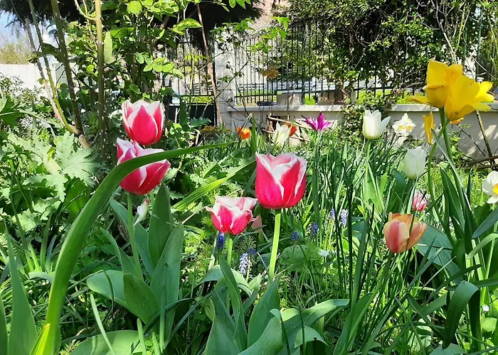 Le Clos D'herblay D'hôtes Casa de hóspedes Herblay